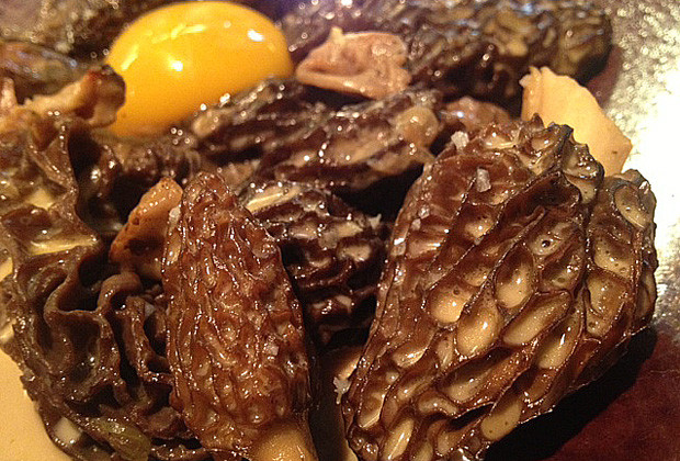 Table-verjus-morilles