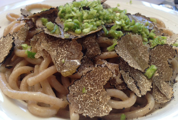 toscane-truffe-picci