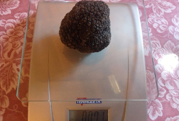 toscane-truffe