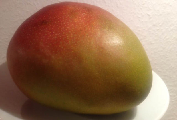 mangue-avion