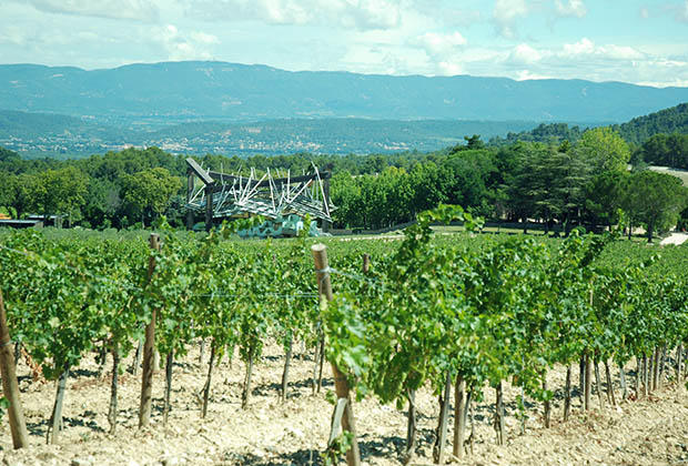 samedi-chateau-lacoste