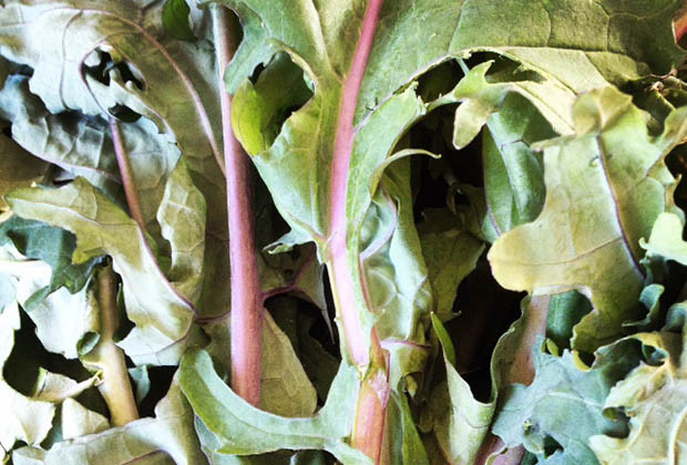 kale