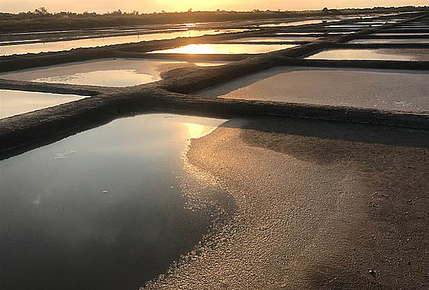 sel-oleron