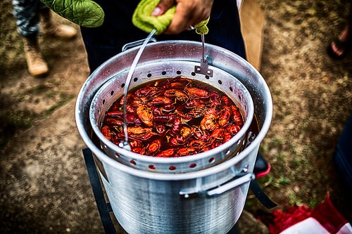 Bucket of Crawfish . ©Johnny Silvercloud