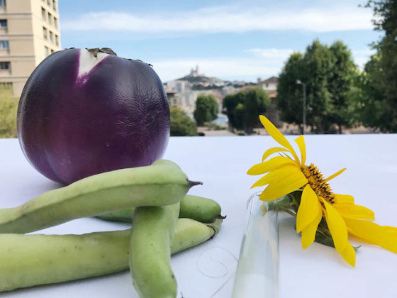 potager-intercontinental-marseille