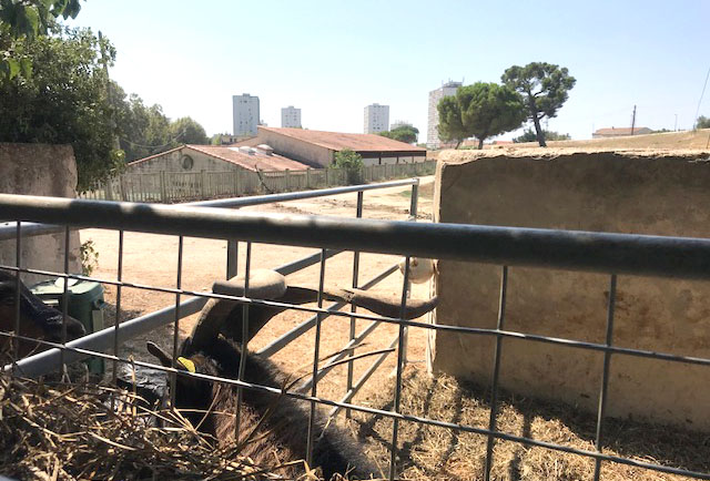 agriculture-urbaine-marseille